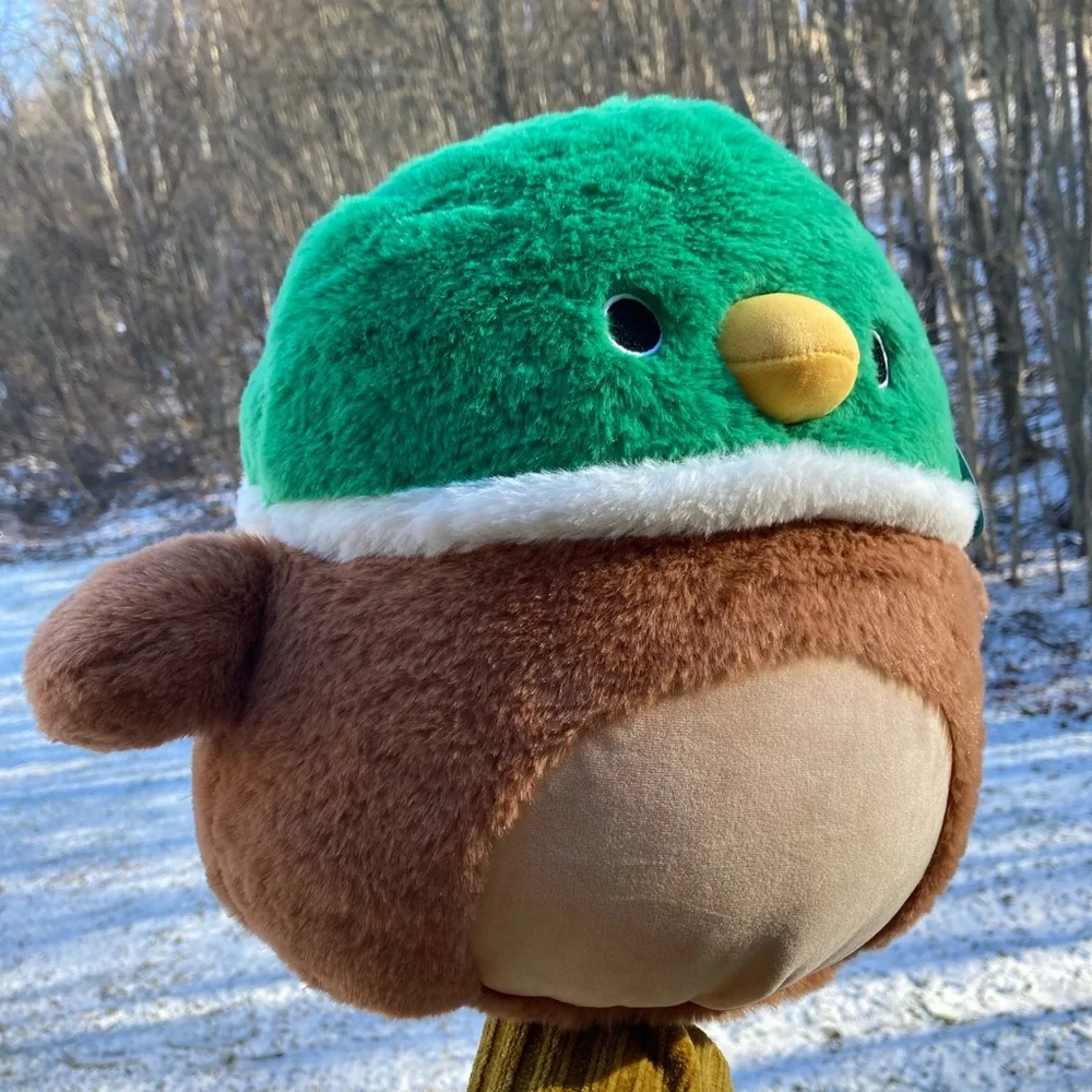 Squishmallows Fuzzamallows Avery Mallard Duck 12
